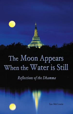 Book cover of The Moon Appears When the Water Is Still