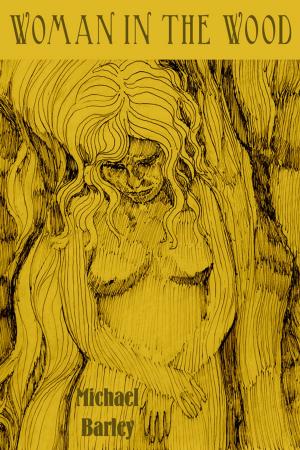 Book cover of Woman in the Wood