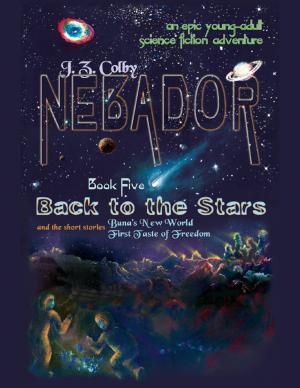 bigCover of the book Nebador Book Five: Back to the Stars by 