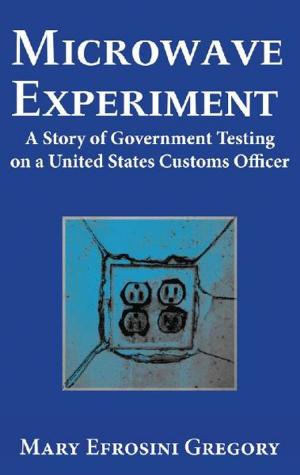 Cover of the book Microwave Experiment by Vincent Palamara