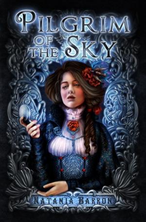 Cover of the book Pilgrim of the Sky by Robin Shortt