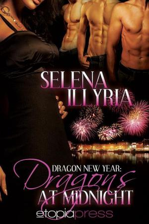 Cover of the book Dragons at Midnight by Selena Illyria