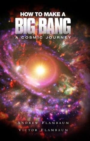 Cover of the book How to Make a Big Bang by Lee Black