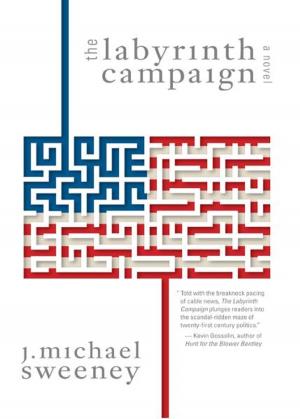 Cover of the book The Labyrinth Campaign by Caroline Turner