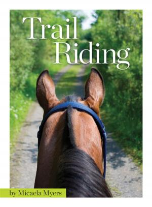 Cover of the book Trail Riding by Ann Larkin Hansen