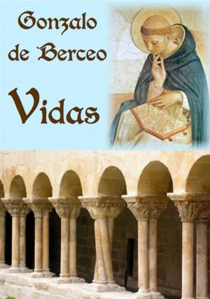 Cover of the book Vidas by Jessica Knauss