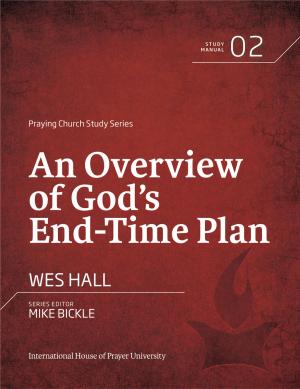 Cover of the book An Overview of God's End-Time Plan by Billy Humphrey