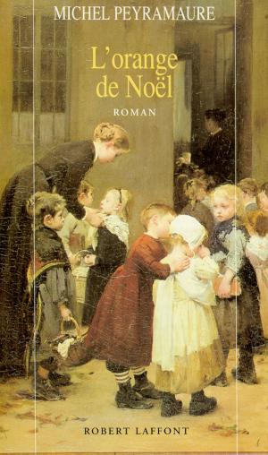 Cover of the book L'orange de Noël by Dr Alain DELOCHE