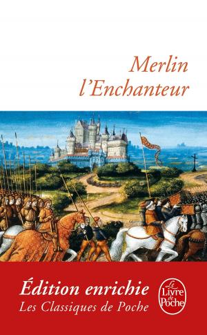 Book cover of Merlin L'Enchanteur