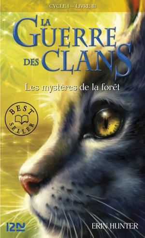 Cover of the book La guerre des clans tome 3 by Lauren BROOKE
