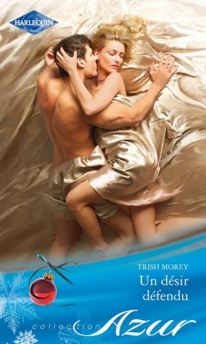Cover of the book Un désir défendu by Susan Meier