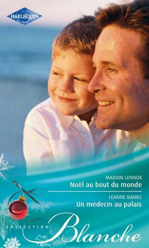 Cover of the book Noël au bout du monde - Un médecin au palais by Melinda Di Lorenzo
