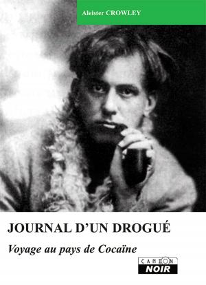 Cover of the book Journal d'un drogué by Jean-Noel Levavasseur