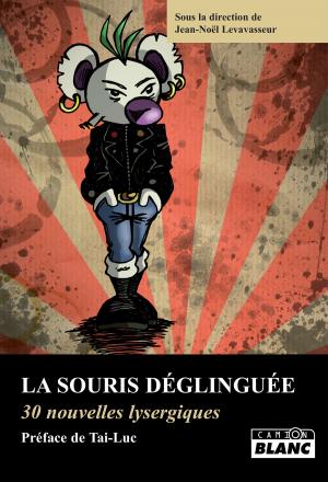 Cover of the book La souris déglinguée by Jean-Michel Angebert