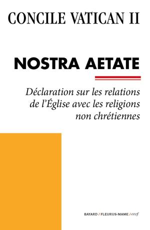 Cover of the book Nostra Aetate by Agnès Richome
