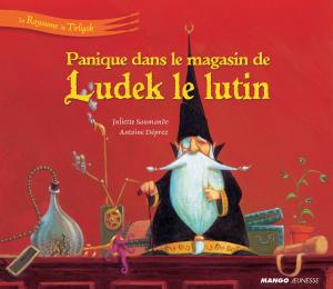 Cover of the book Panique dans le magasin de Ludek le lutin by Collectif