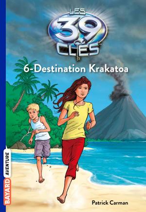 Cover of the book Les 39 clés, Tome 6 by Henriette Bichonnier