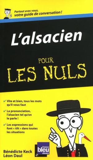 Cover of the book L'Alsacien - Guide de conversation Pour les nuls by Héloïse MARTEL
