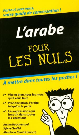 Cover of the book Arabe - Guide de conversation Pour les Nuls by Vincent AMIEL