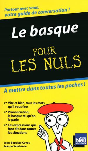 Cover of the book Le Basque - Guide de conversation Pour les Nuls by Christine OLLIVIER