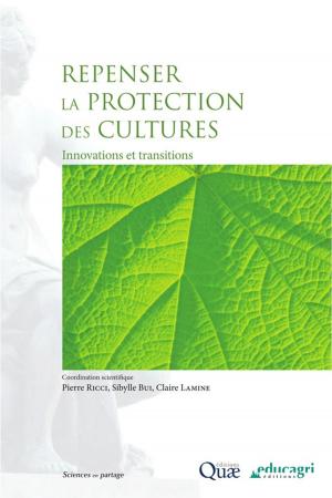 Cover of the book Repenser la protection des cultures by Michel Petit