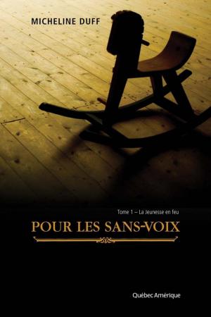Cover of the book La Jeunesse en feu by Jean-Dominic Leduc, Michel Viau