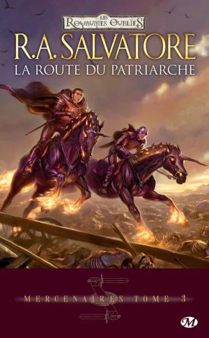 Cover of the book La Route du patriarche by Patrick Rothfuss