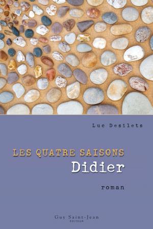 Cover of the book Les quatre saisons : Didier by Élise Bourque