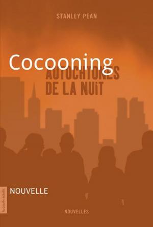 Cover of the book Cocooning by Sylvain Meunier