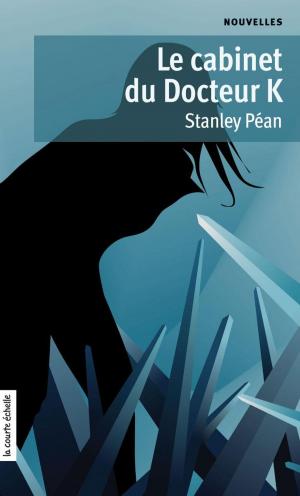Cover of the book Le cabinet du Docteur K by Stanley Péan