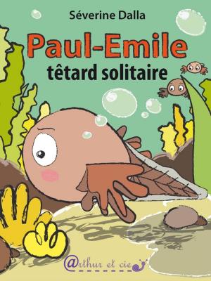 Cover of Paul-Emile têtard solitaire