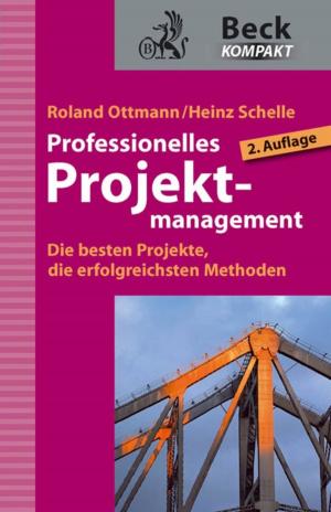 Cover of the book Professionelles Projektmanagement by Markus K. Brunnermeier, Harold James, Jean-Pierre Landau
