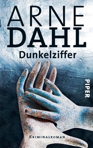 Cover of the book Dunkelziffer by Gisa Pauly
