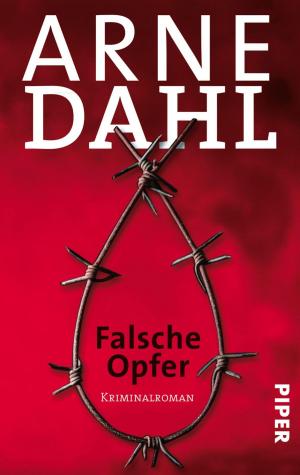 Cover of the book Falsche Opfer by Gaby Hauptmann