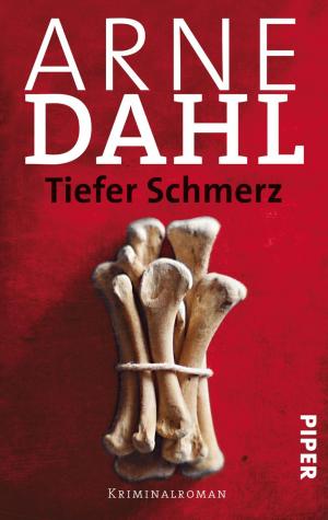 Cover of the book Tiefer Schmerz by Arne Molfenter