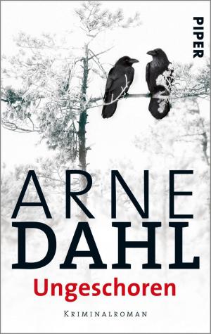 Cover of the book Ungeschoren by Arne Dahl