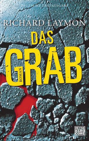 Cover of the book Das Grab by Jessica Sorensen