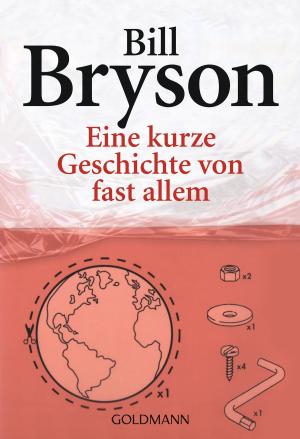Cover of the book Eine kurze Geschichte von fast allem by Eric Berg