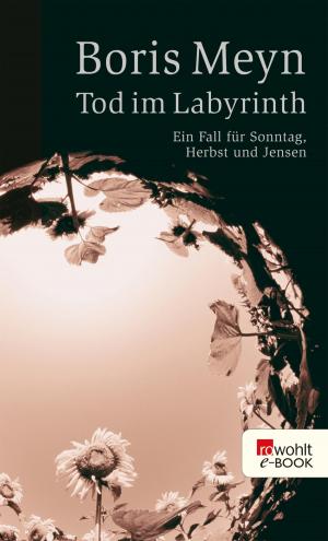 Cover of the book Tod im Labyrinth by Miriam Meckel