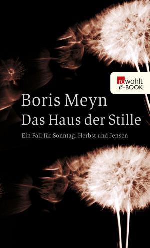 Cover of the book Das Haus der Stille by Julie Masson