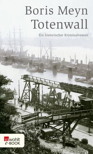 Cover of the book Totenwall by Helmut Krausser