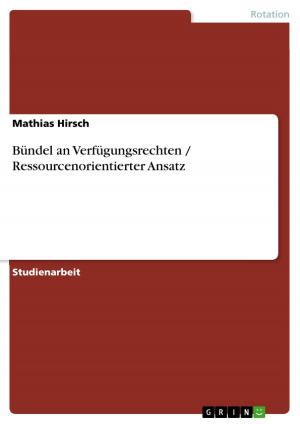 Cover of the book Bündel an Verfügungsrechten / Ressourcenorientierter Ansatz by Daniel Schmidbauer