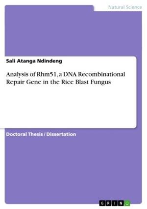 Cover of the book Analysis of Rhm51, a DNA Recombinational Repair Gene in the Rice Blast Fungus by Jörg Wagner, Fabian Walther