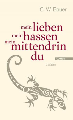 Cover of the book mein lieben mein hassen mein mittendrin du by Jürg Amann