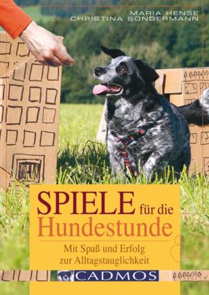 Cover of the book Spiele für die Hundestunde by Pascale Berthier