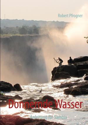 Cover of the book Donnernde Wasser by Sybille Fleischmann, Michael Fleischmann
