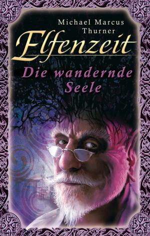 Book cover of Elfenzeit 6: Die wandernde Seele