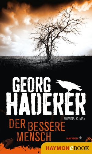 Cover of the book Der bessere Mensch by Klaus Merz