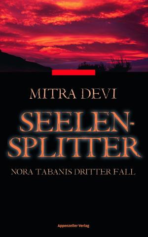 Book cover of Seelensplitter
