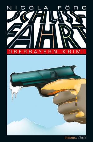 Cover of the book Schussfahrt by Martin Droschke, Norbert Krines